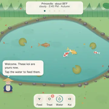 Koi Pond